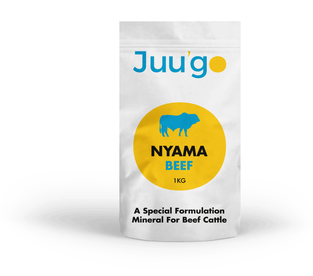 Juugo_Nyama